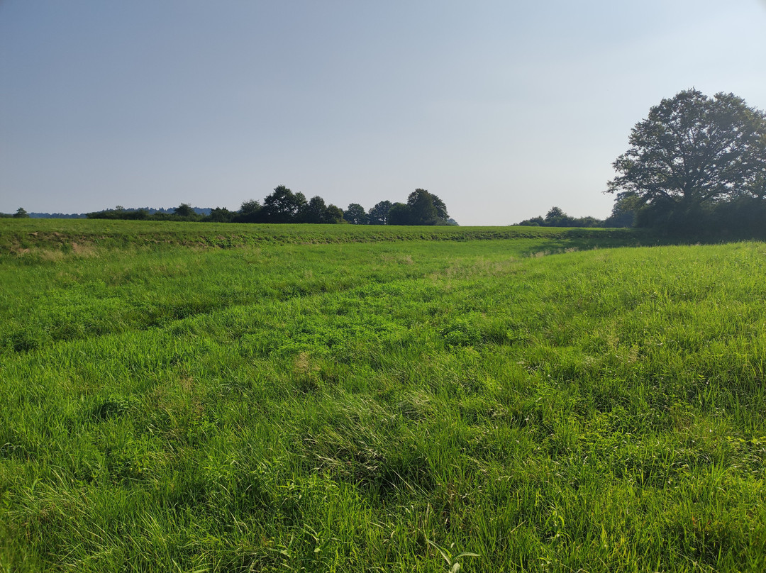The Former Ljubljanica River Bed-Preserje必去景点