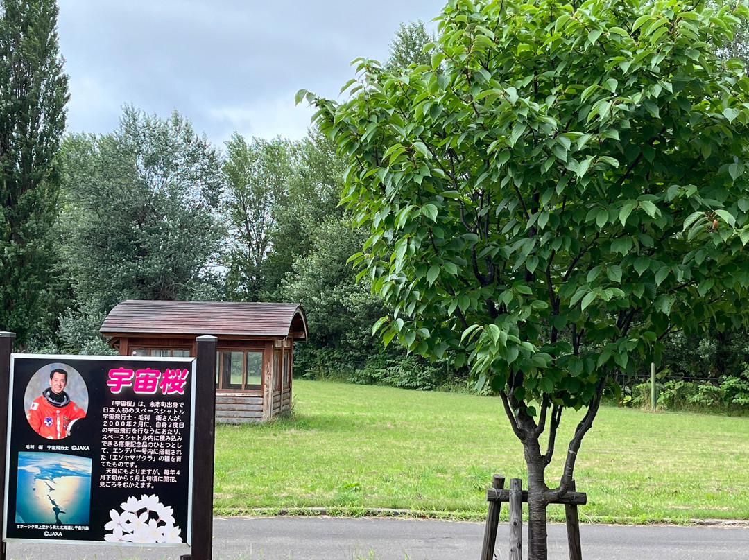 Space Apple Yoichi Michi-no-Eki-余市町必去景点