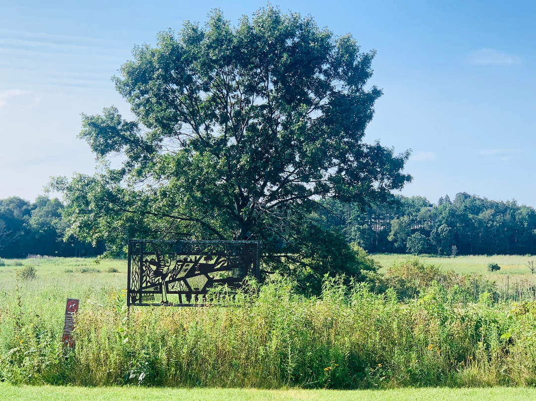 University of Wisconsin-Madison Arboretum-麦迪逊必去景点