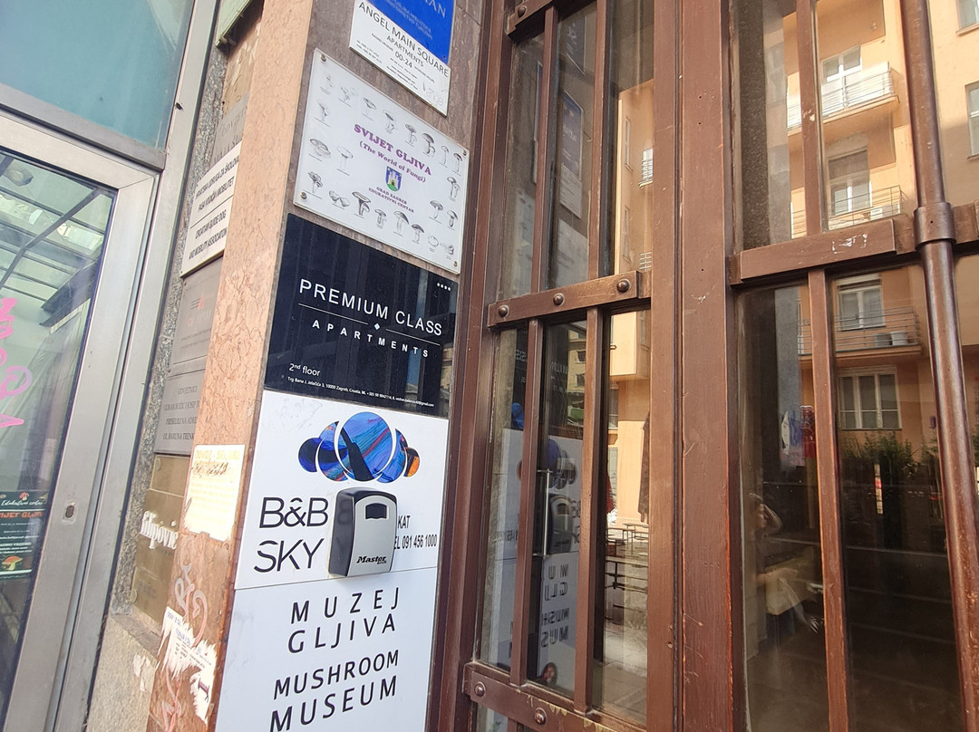 Mushroom Museum-萨格勒布必去景点