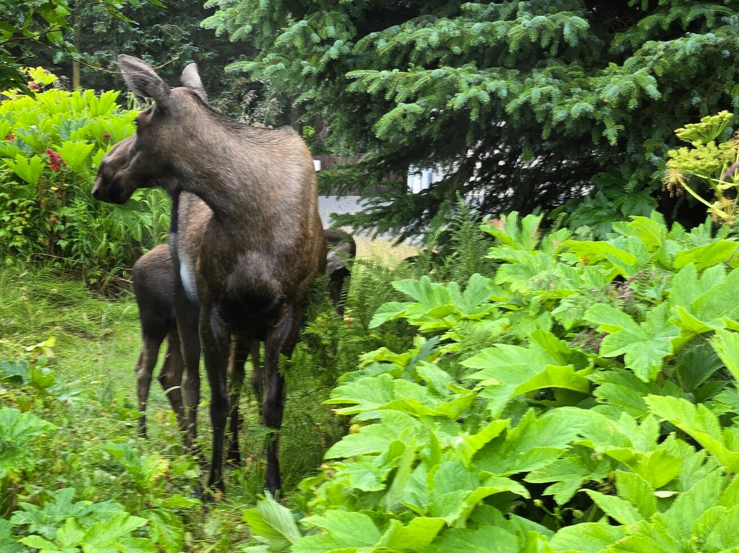 Pratt Museum-荷马必去景点