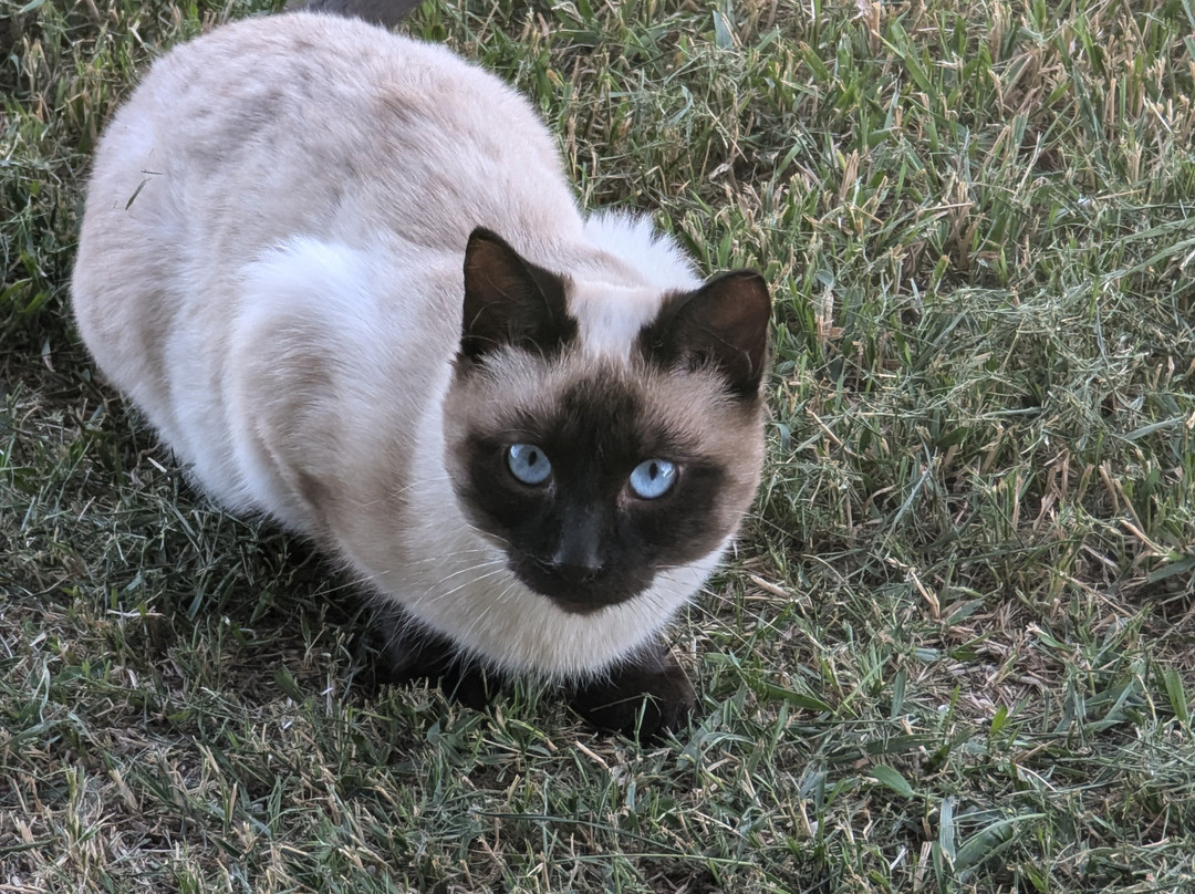 Home Inn Express Medicine Hat主图