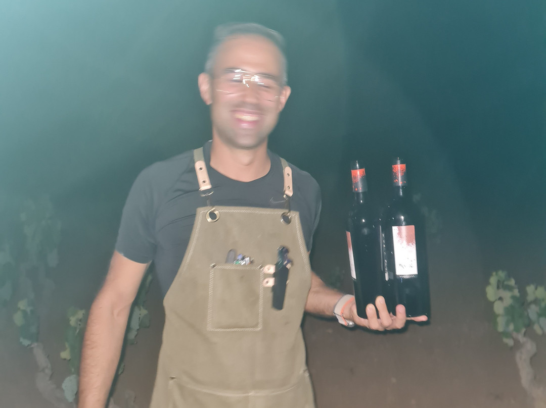 Bodega Balcona-Bullas必去景点