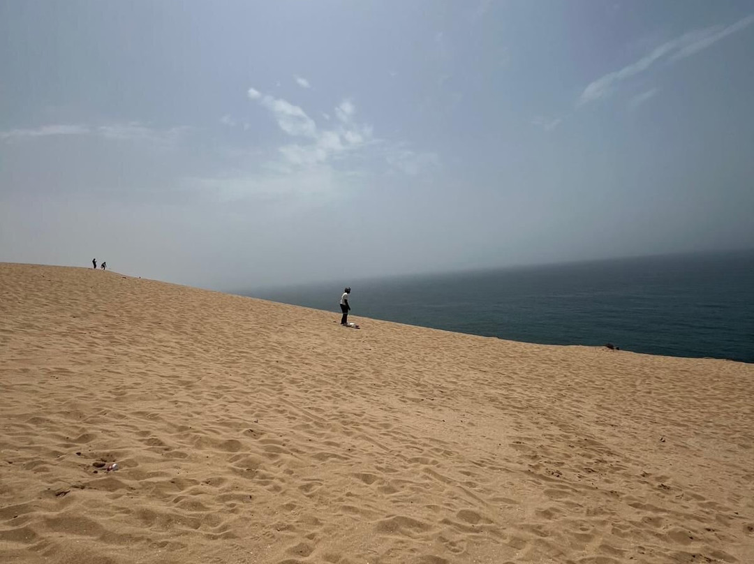 Bizzi Tours & Activities-阿加迪尔必去景点