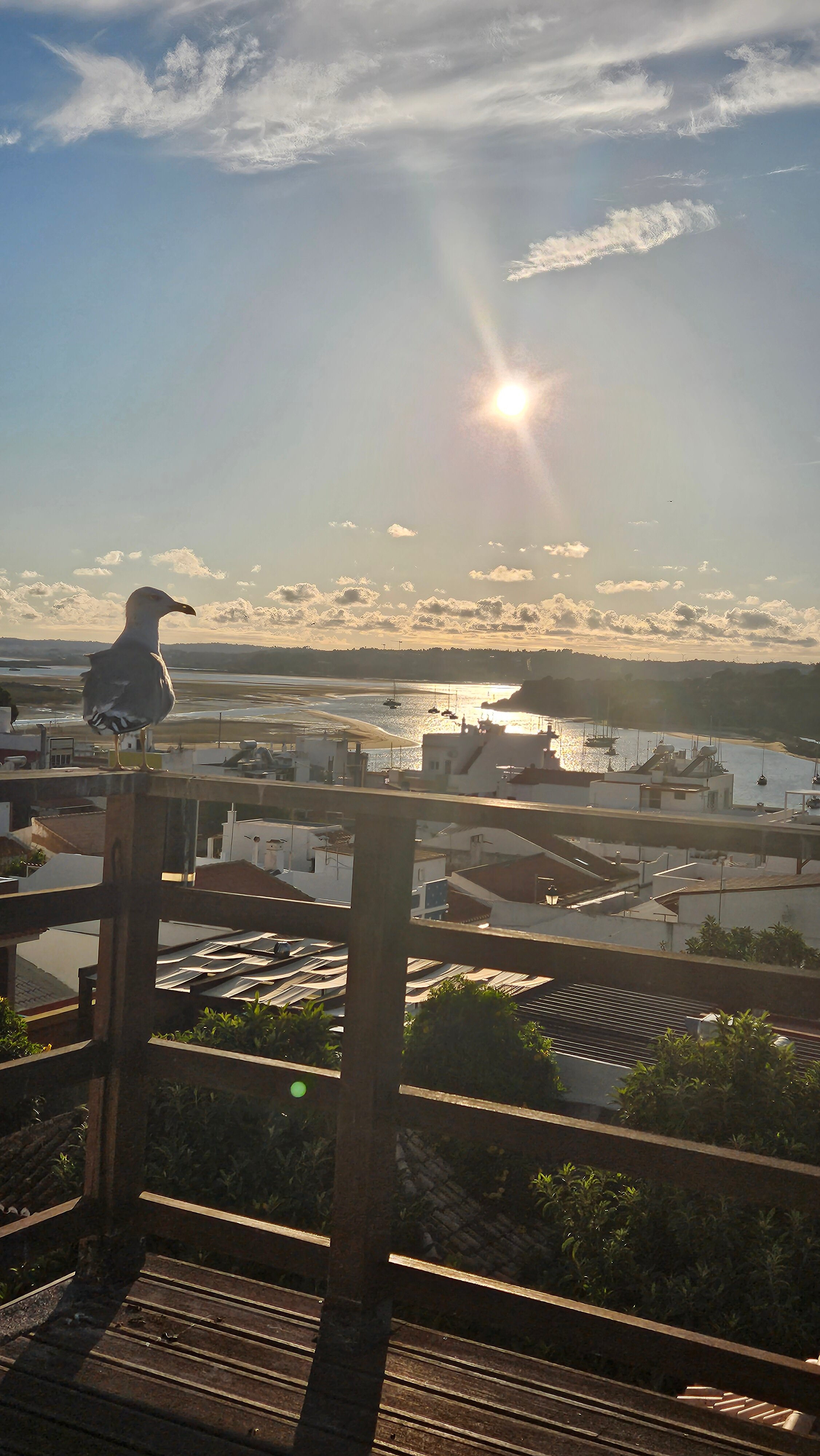 Alvor Kitecenter Guesthouse-酒店景观