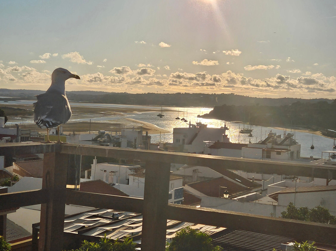 Alvor Kitecenter Guesthouse主图