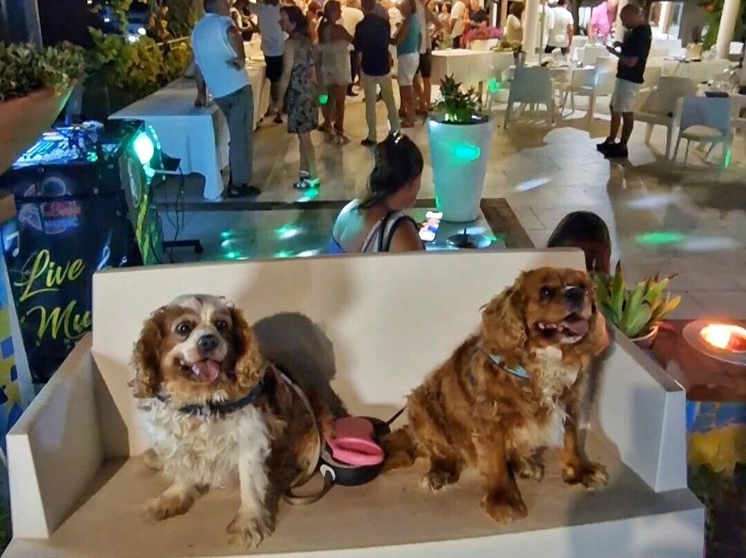 Hotel Cristina主图