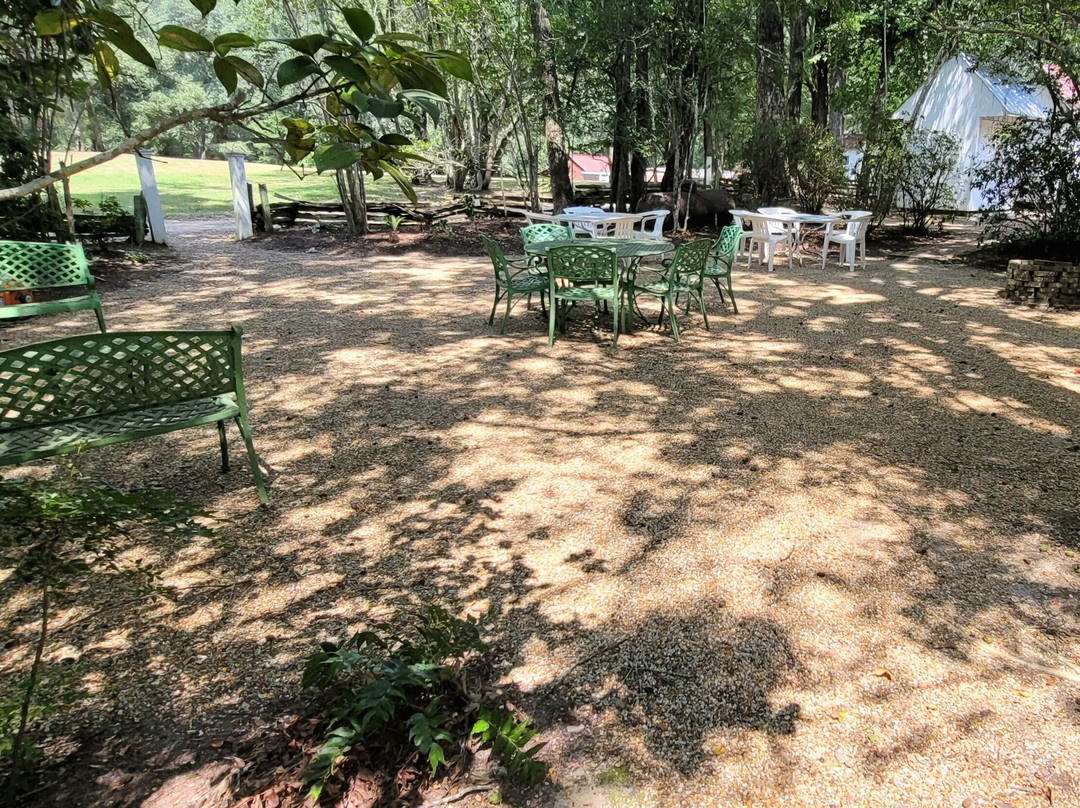 Rosemont Plantation-Woodville必去景点