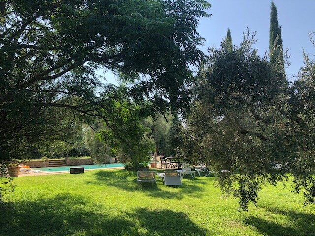 Agriturismo il Gaggiolo-泳池