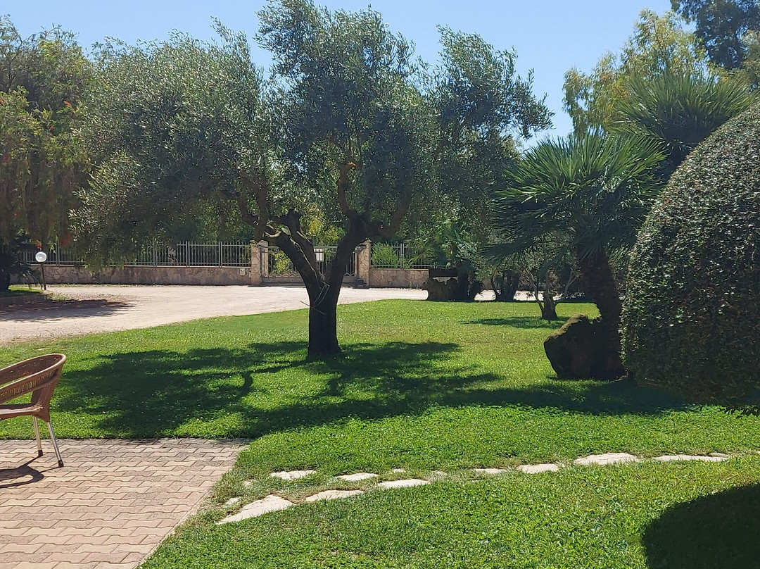 B&B Bonsai Alghero主图