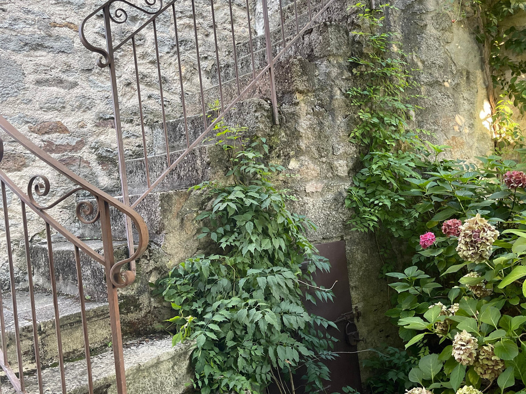 Le Petit Volcan主图