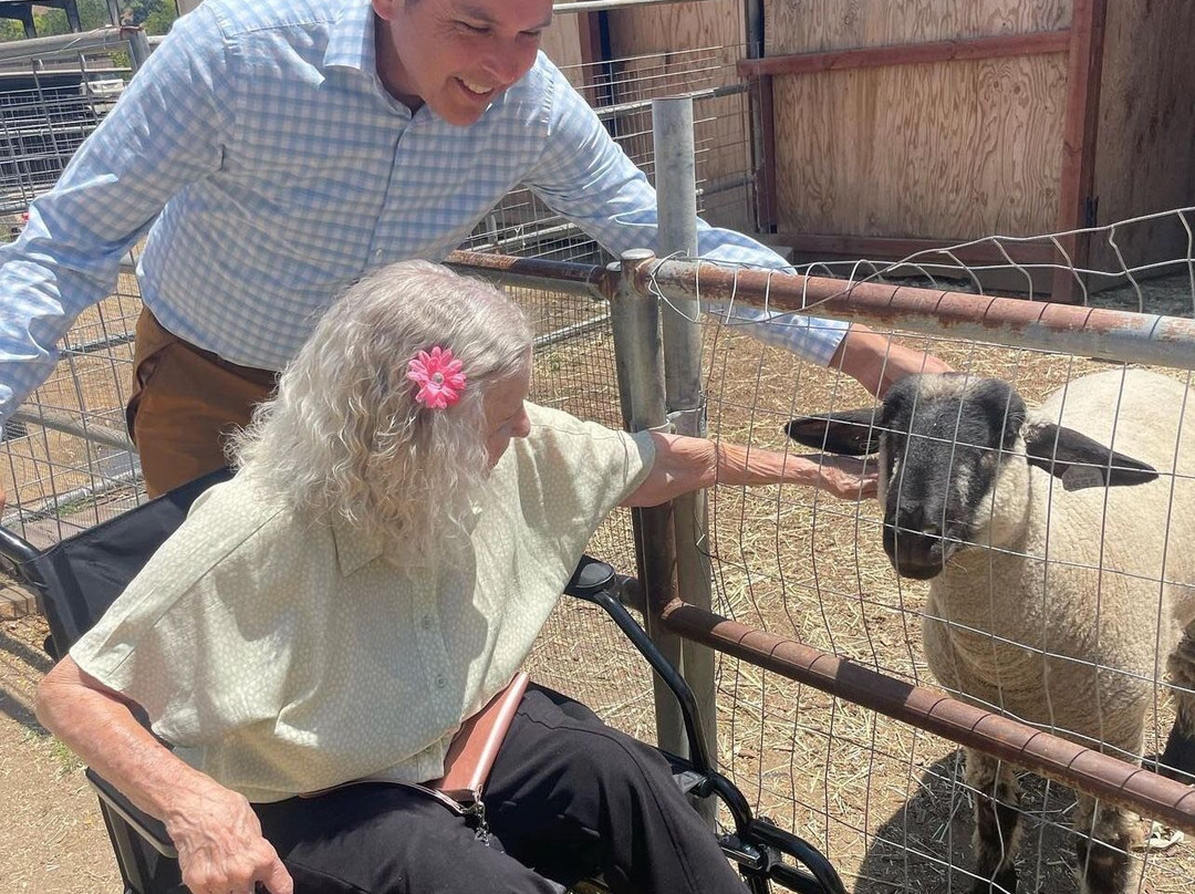 Love Always Sanctuary-洛杉矶必去景点