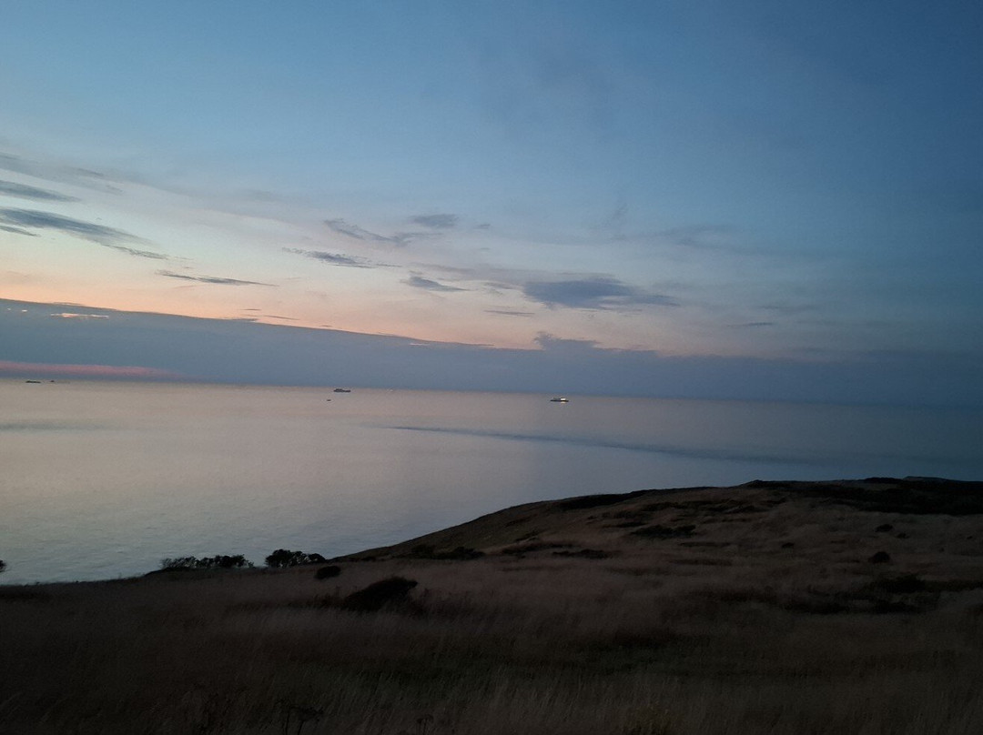 Chambres d'Hotes Les Pins主图