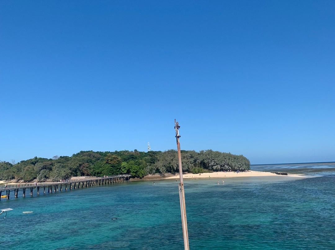 Green Island Cruise - Day Tour (Big Cat Green Island Reef Cruise)景点图片