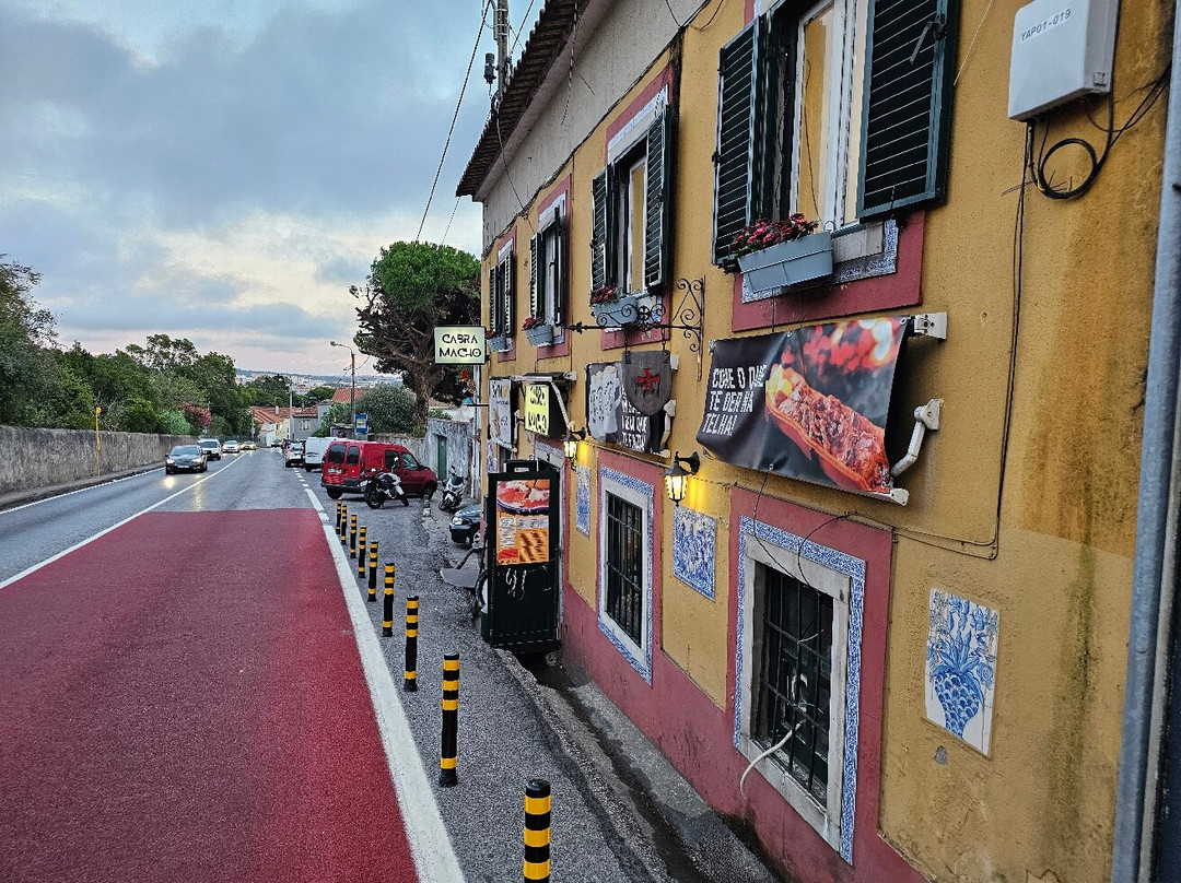Cabra Macho
