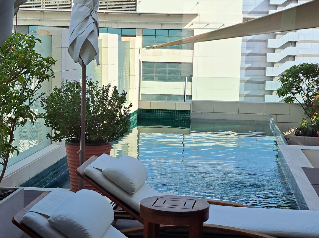 The Merchant House主图