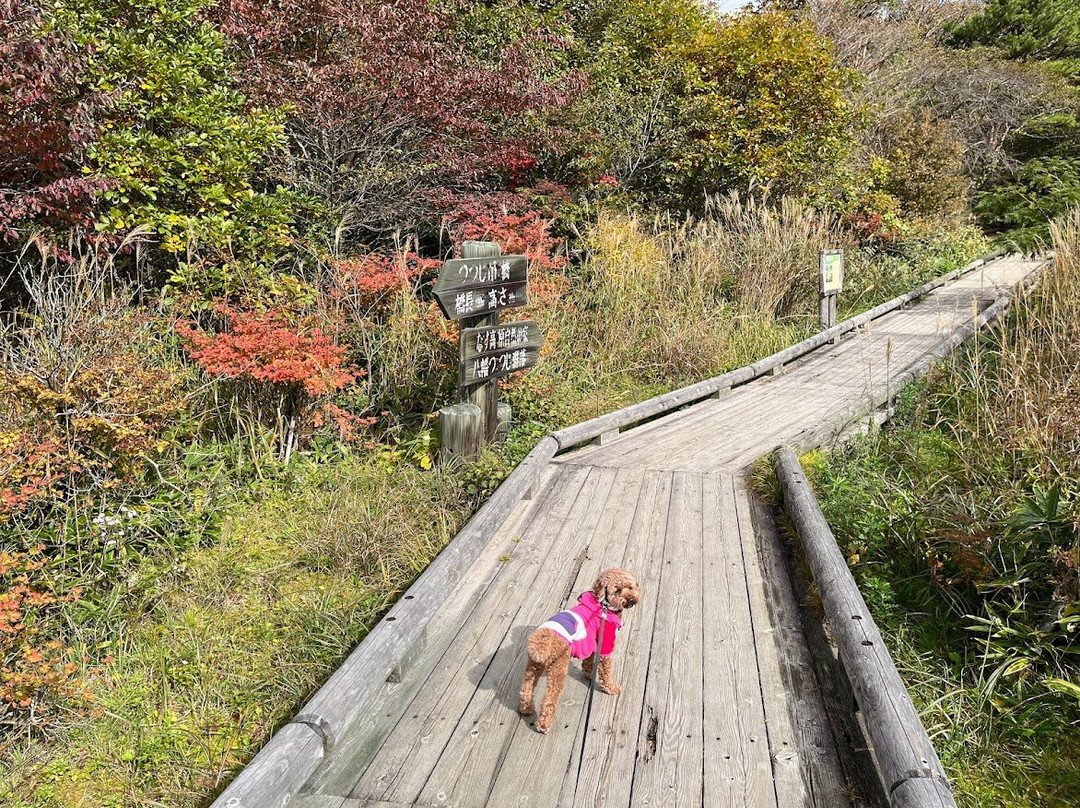 Nasu Nature Study Paths-那须町必去景点
