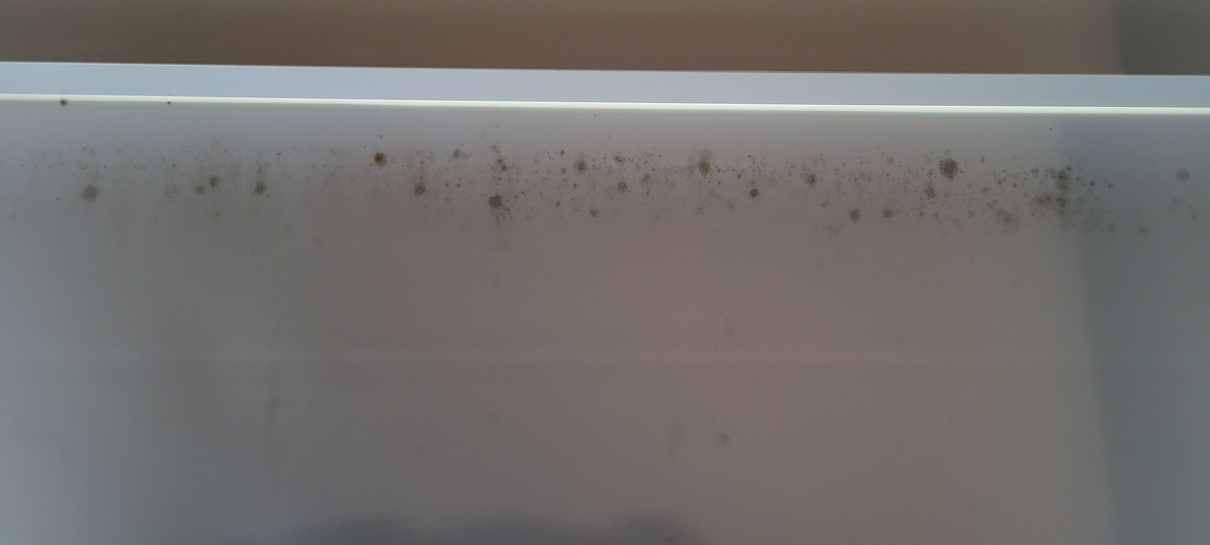 Hampton Inn Bartow-客卧