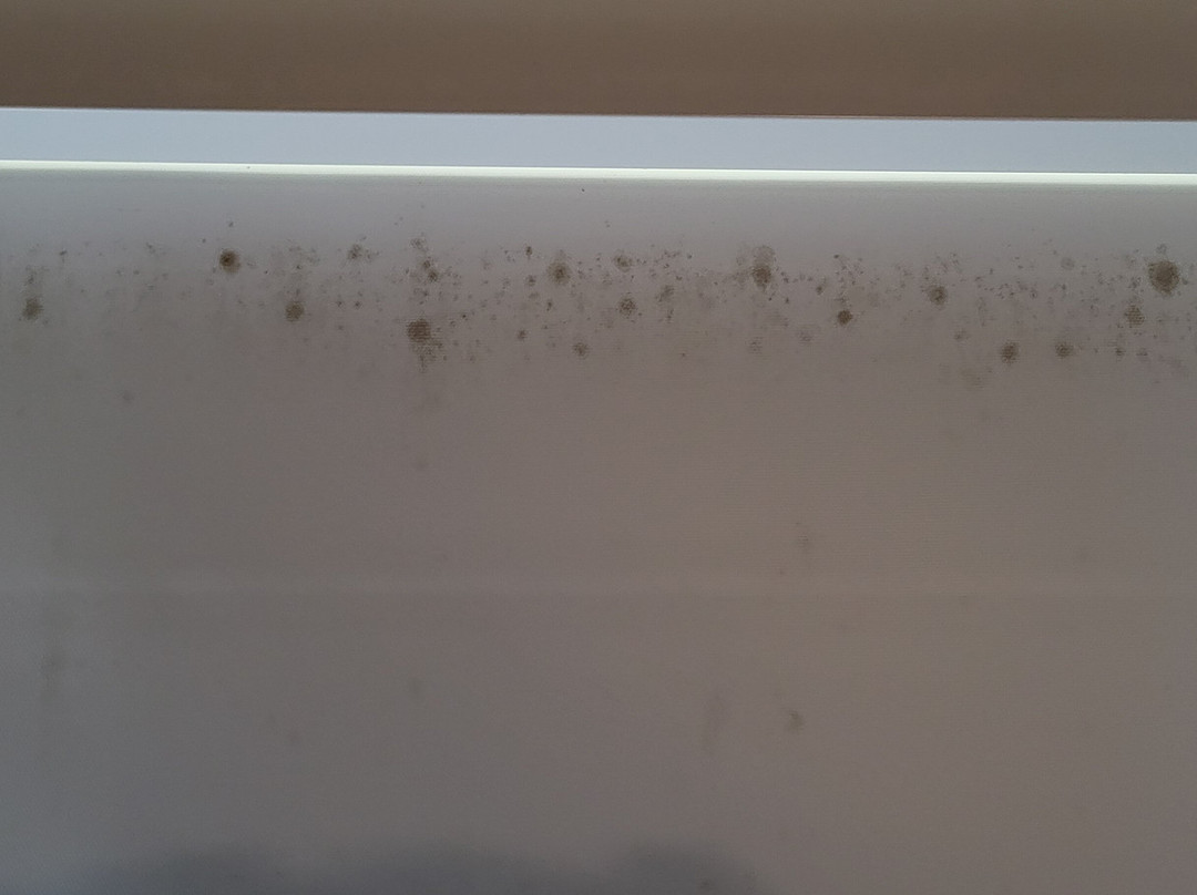 Hampton Inn Bartow主图