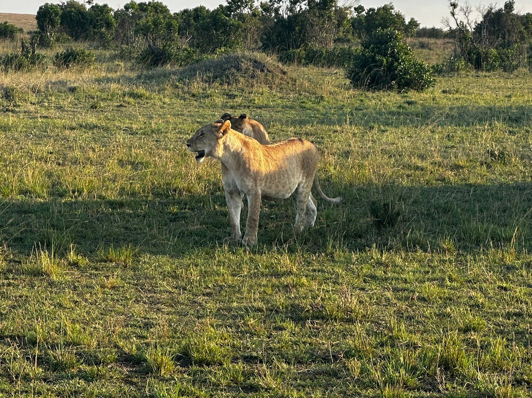 Sense of Africa, Namibia-温德和克必去景点