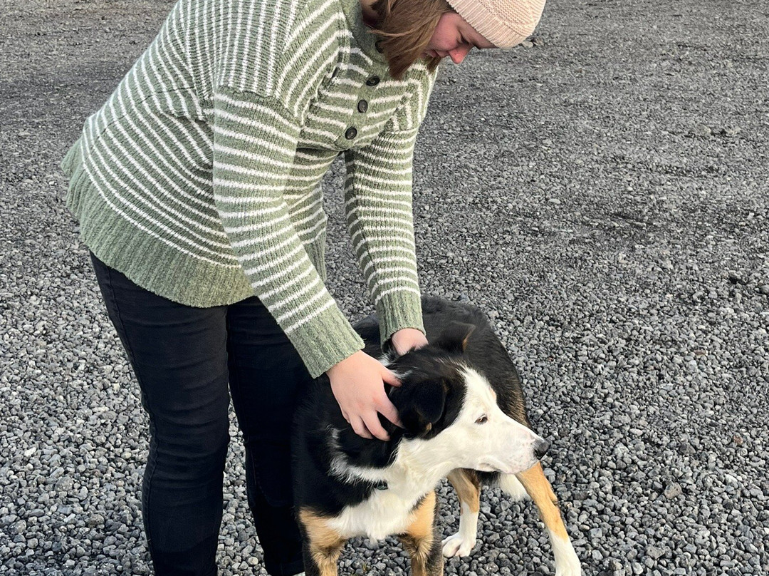 Icelandic HorseWorld-海拉必去景点