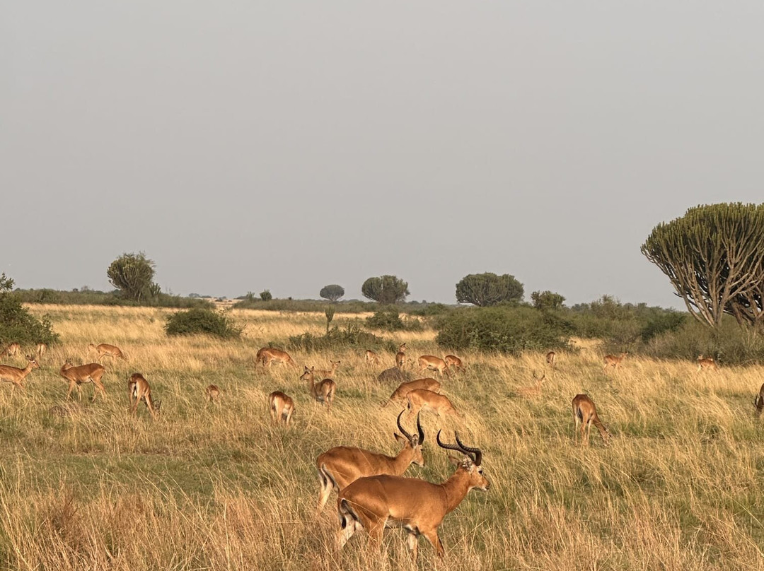 Exclusive African Safaris-Wakiso必去景点