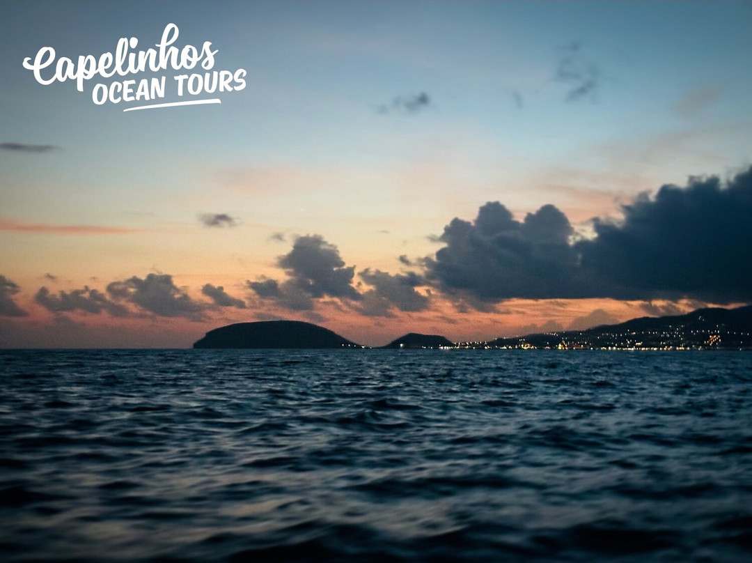 Capelinhos Ocean Tours-奥尔塔必去景点