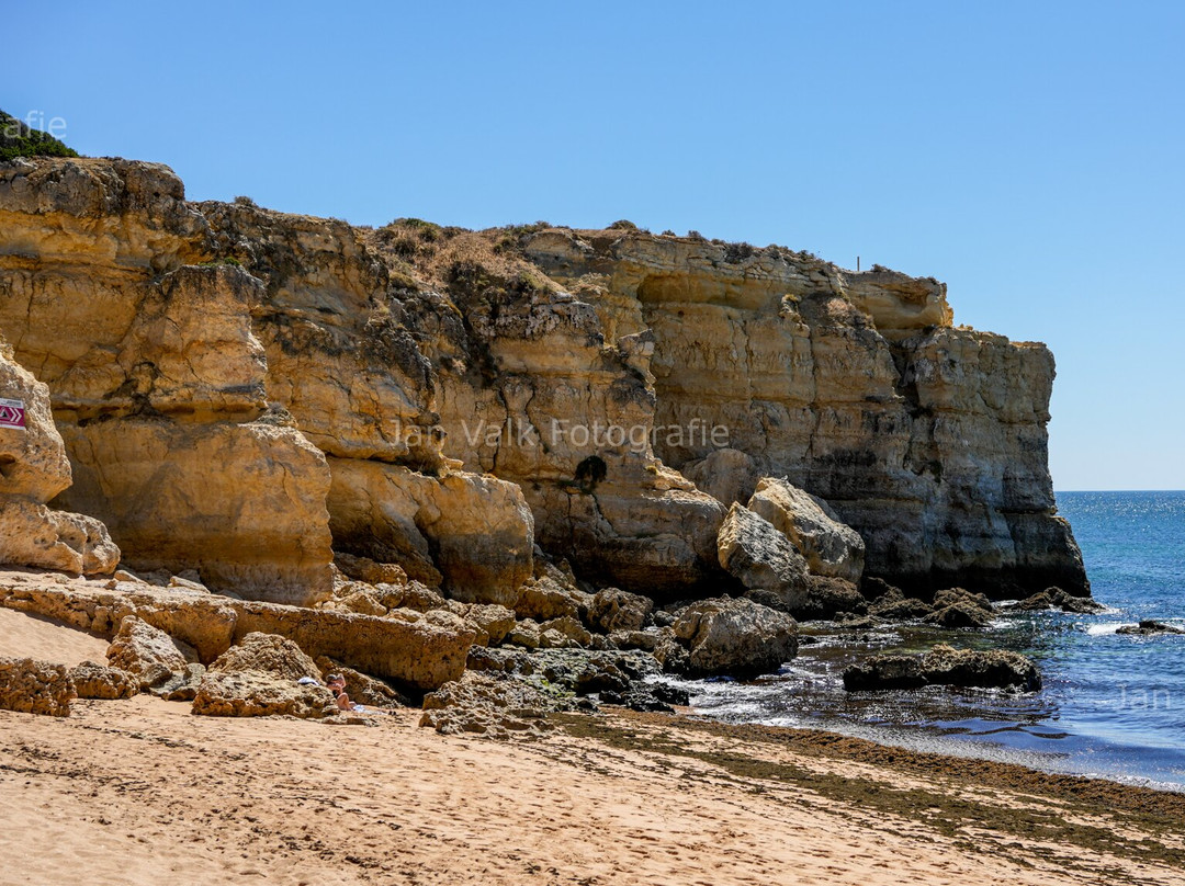 Praia da Coelha景点图片