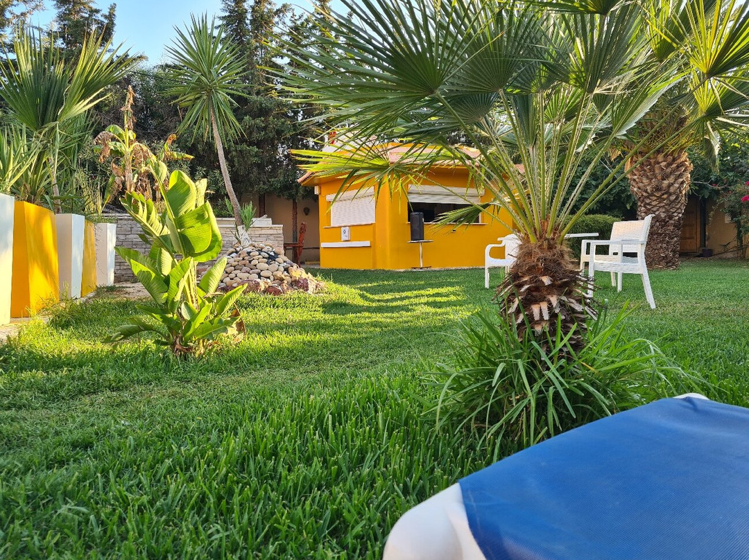 Alrawabi Hotel主图