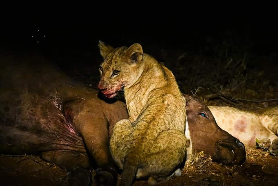 LUMO Community Wildlife Sanctuary景点图片
