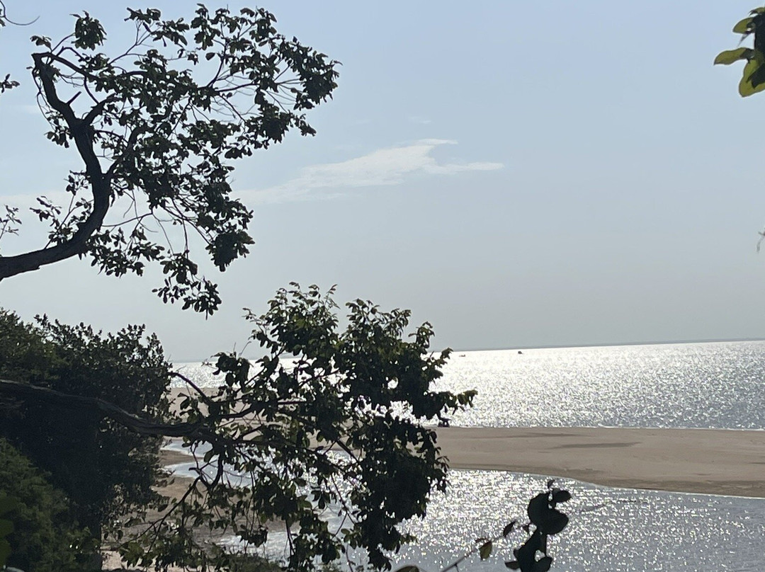 Bangalôs da Selva
