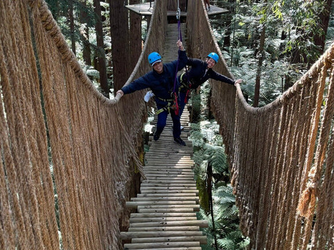 Redwoods Altitude-罗托鲁瓦必去景点