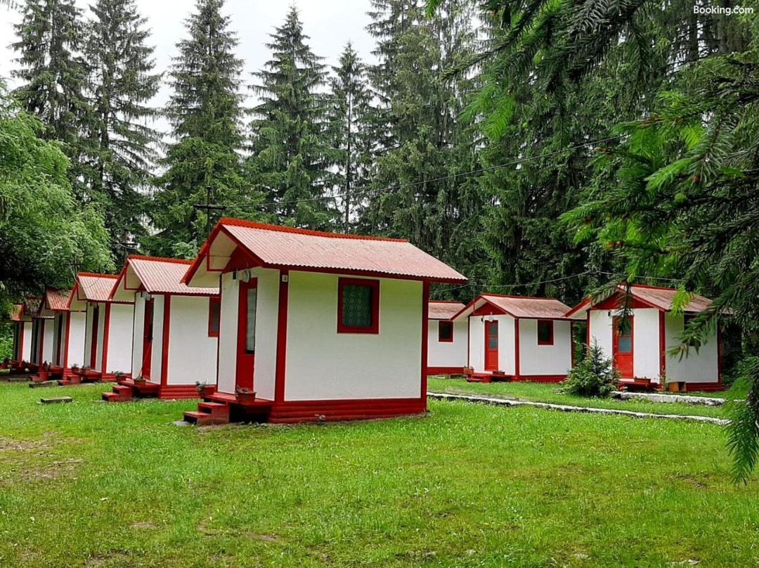 Casute Valea Zanelor