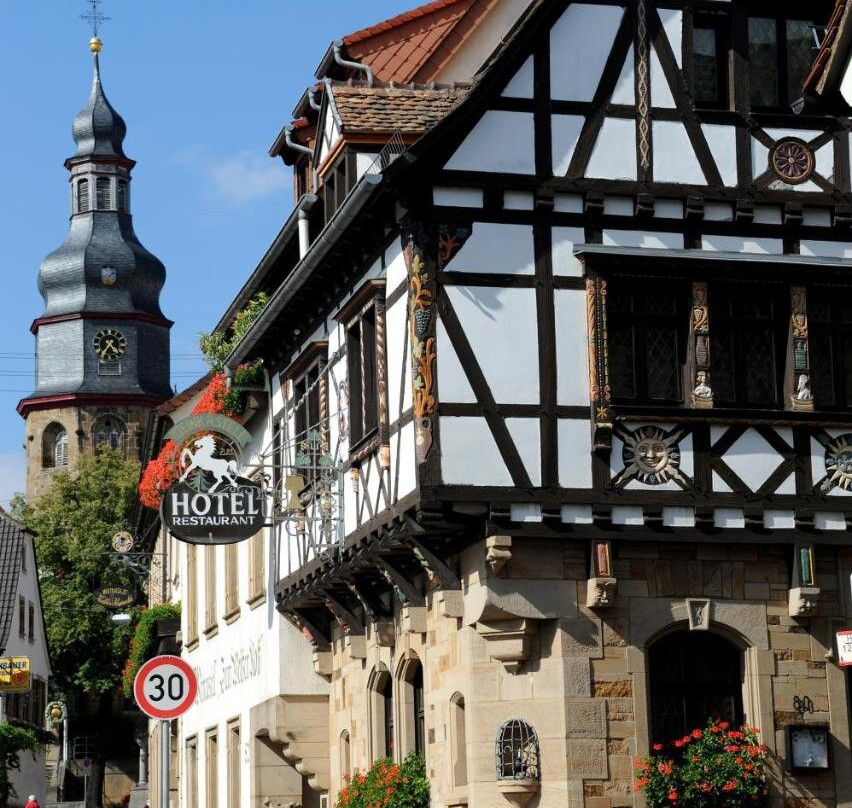 Zum weissen ross主图