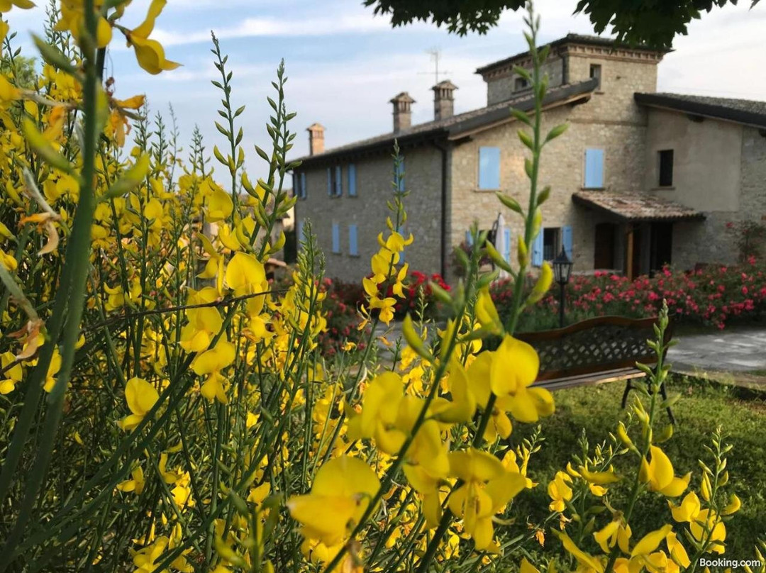 Agriturismo Madonna Della Corte主图