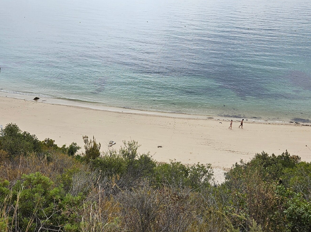 Praia de Galapinhos景点图片