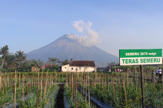 Helios tour - Indonesia-玛琅必去景点