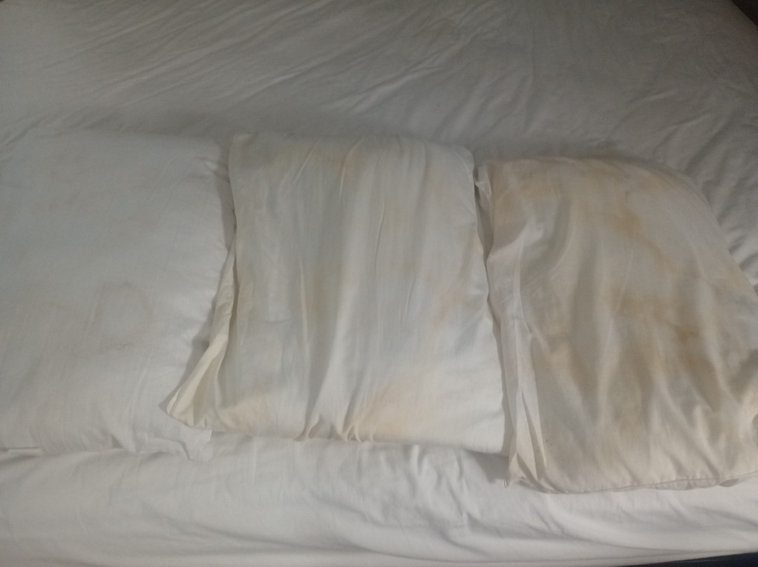 Red Roof Inn Bay Minette主图