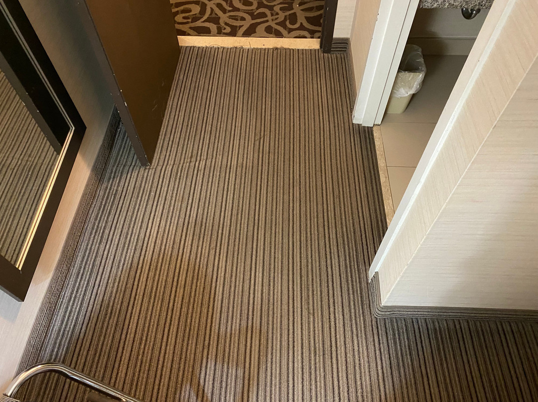 Comfort Inn & Suites Collingwood主图