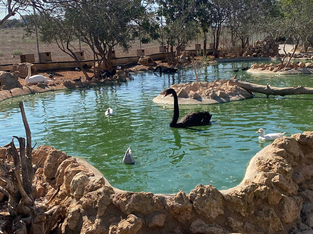 Melios Zoo-尼科西亚必去景点