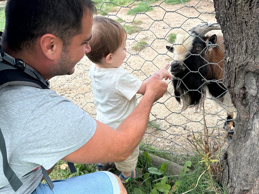 Corsica Zoo-Olmeta di Tuda必去景点