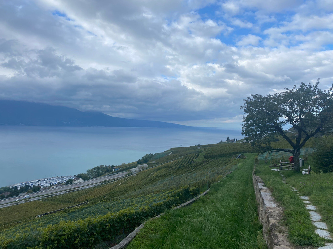 Maurice Neyroud-Chardonne必去景点