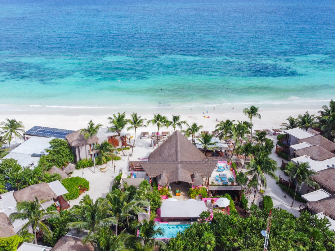 图伦酒店住宿-泽布拉科丽布里精品酒店