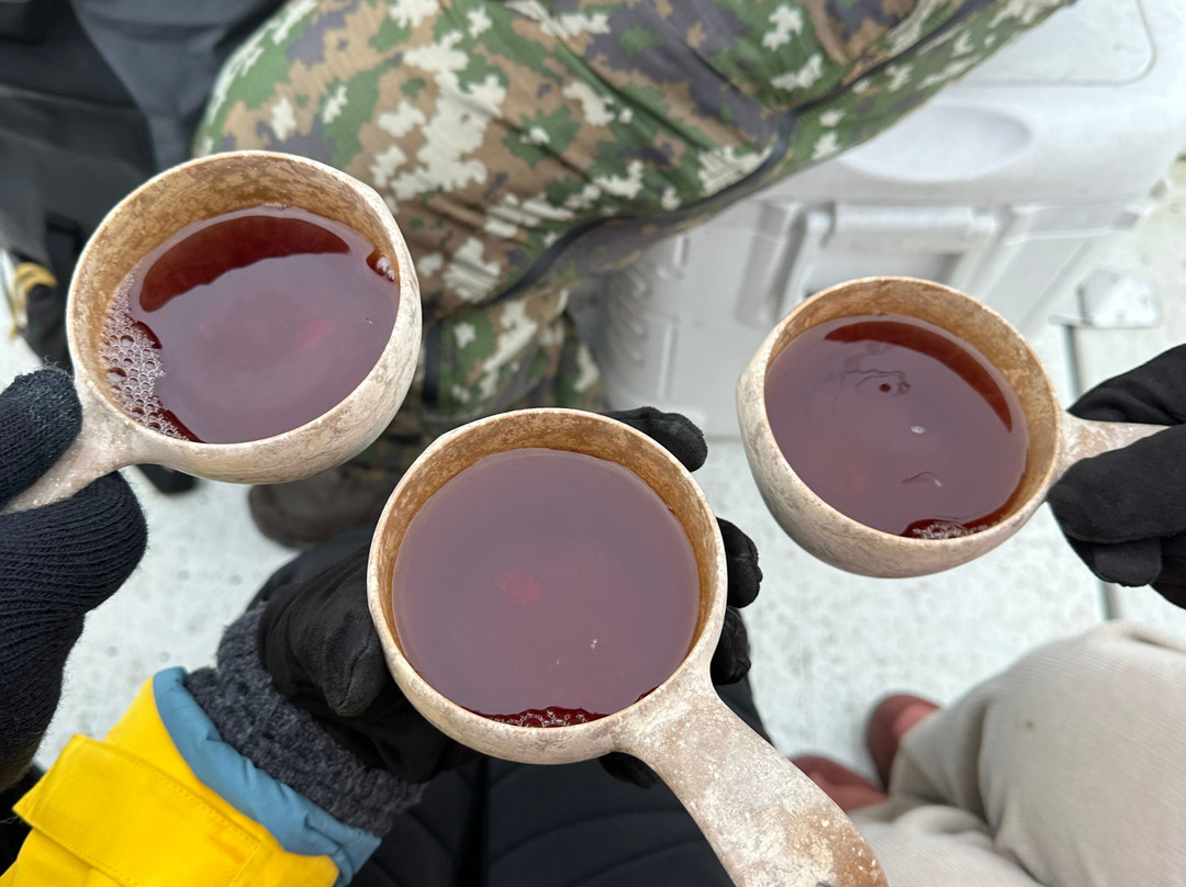 Lakeland GTE-Puumala必去景点