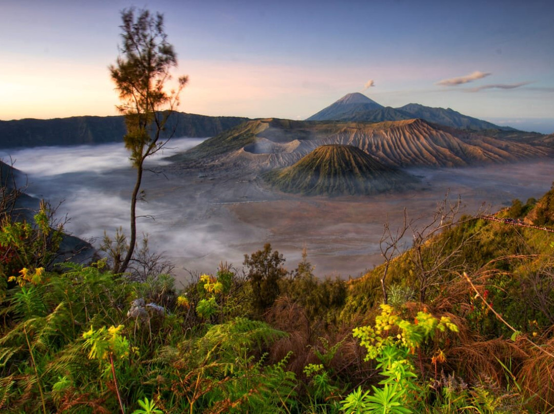 Java Bali Trips景点图片