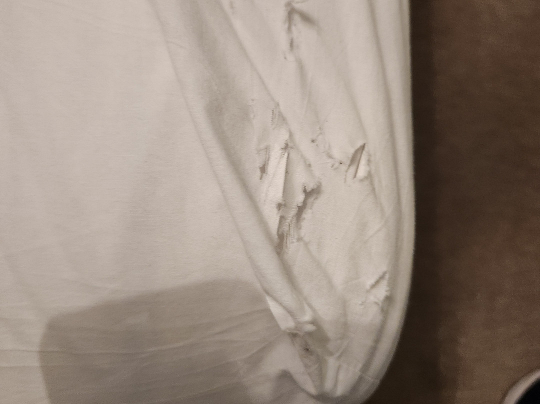 The Wyndham Hotel & Restaurant主图