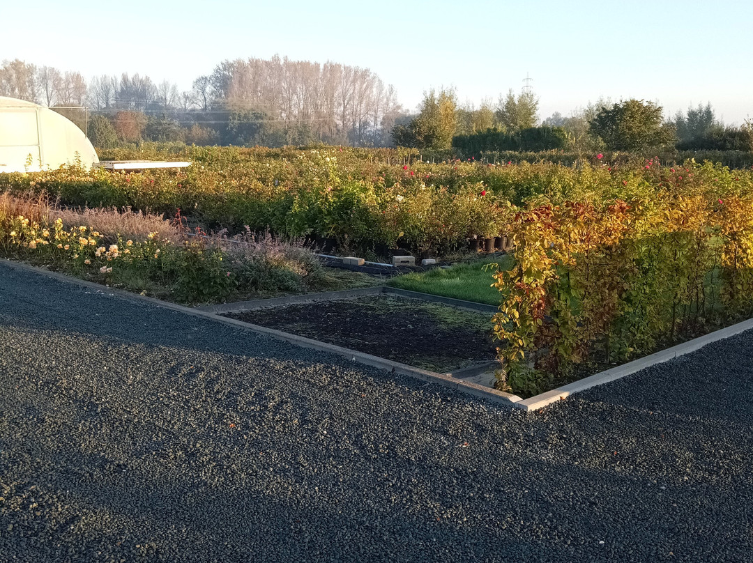 La Vie en Roses B&B主图