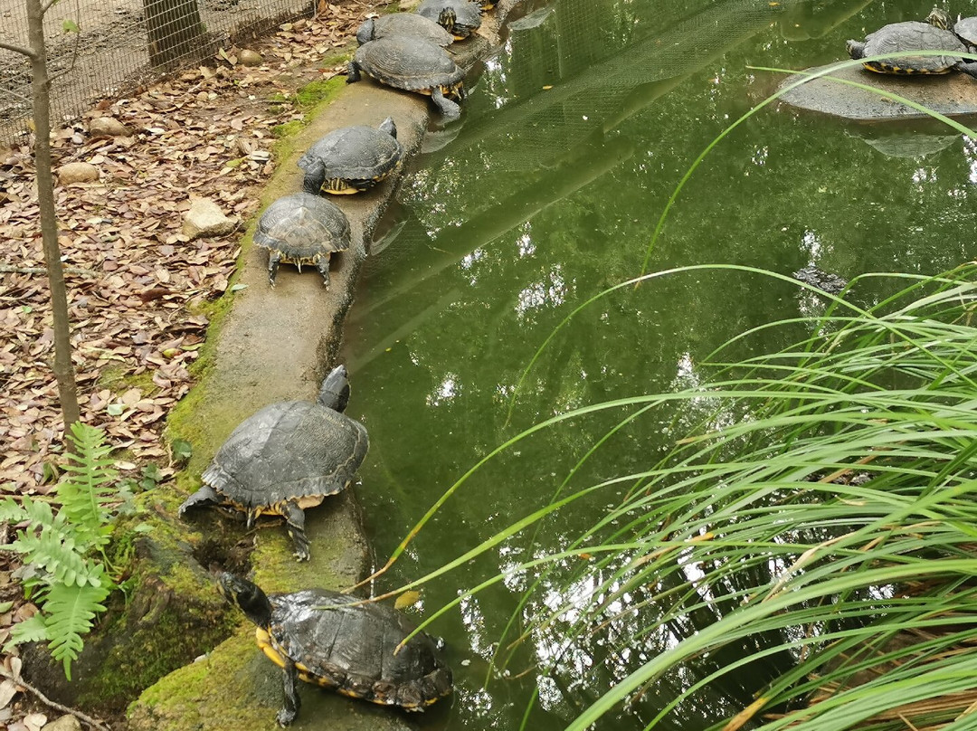 A Cupulatta景点图片