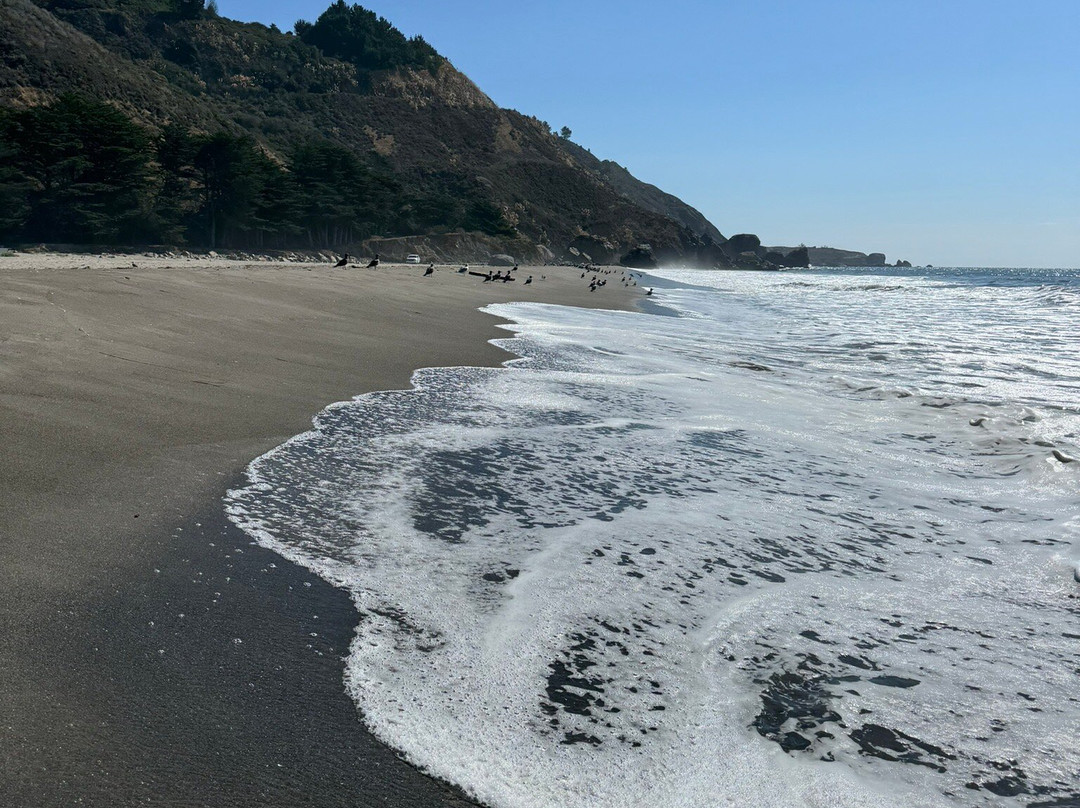 Stinson Beach景点图片