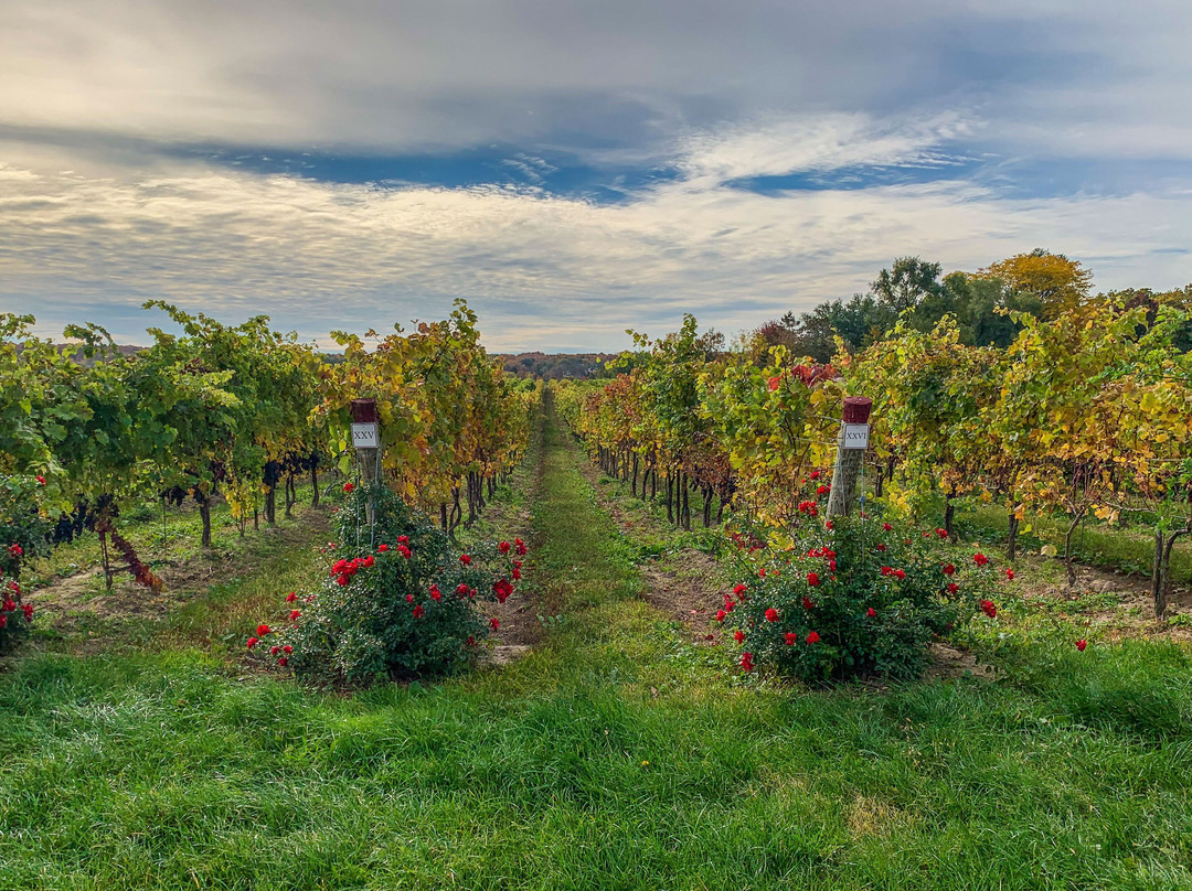 Villa Romana Estate Winery-林肯必去景点